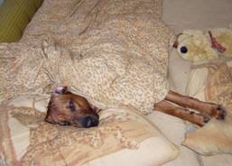 ...pod duchnou je nejlépe...